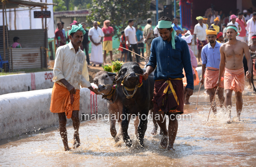 Devu Poonja Jodukare Kambala